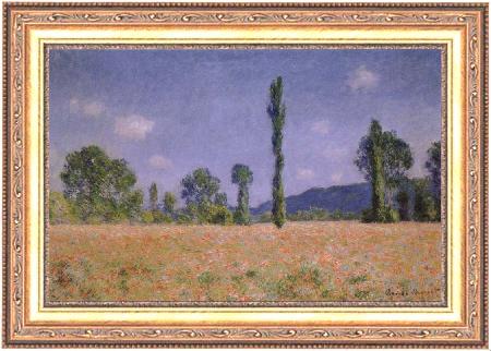 framed  Claude Monet Poppy Field, Ta3070-1